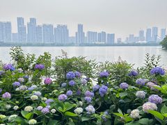 -东湖生态旅游风景区