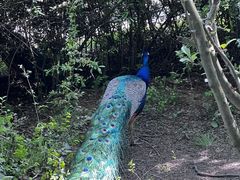 -宁波杭州湾国家湿地公园