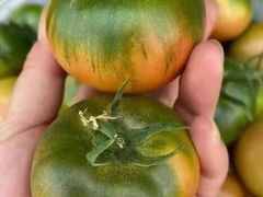 -78线水果批发市场精品厅五号