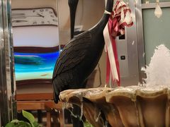 -汤泉良子.足疗按摩.SPA(中关村店)