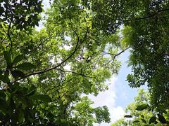 -七仙岭温泉国家森林公园