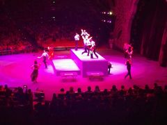 -珠海横琴长隆《卡卡虎奇遇记》