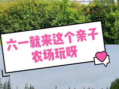 -前小桔亲子创意农场·草莓采摘·露营烧烤