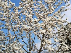 -奉浦四季生态园