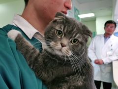 -安安宠医·安宠宠物医院