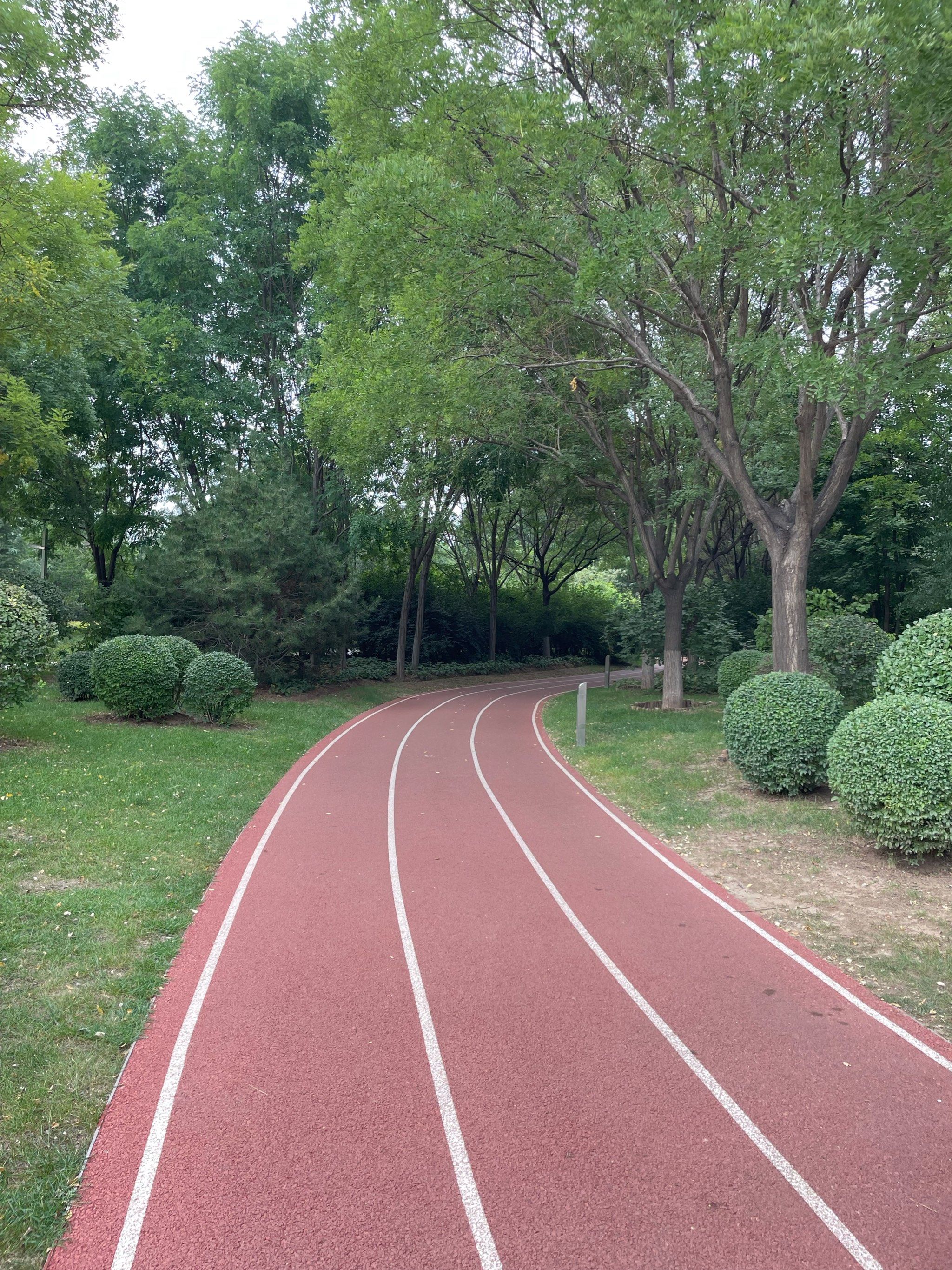 和平公园有步道适合跑步
