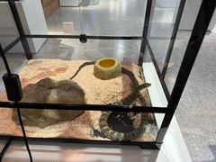 -上海昆虫博物馆