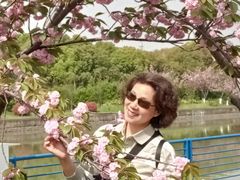 -高东镇樱花园