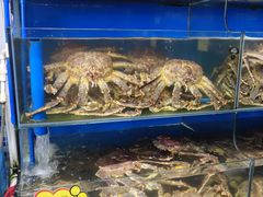 -蚝专家(北滘店)
