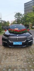 -蚂蚁婚车