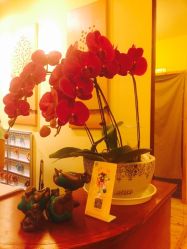 梵音瑜伽(旺座店)-FineYoga梵音瑜伽·普拉提