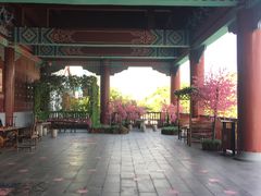 -厦门方特梦幻王国