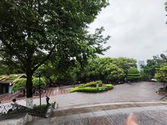 -龙头寺公园