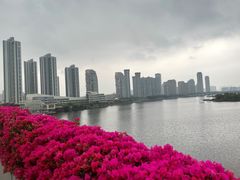 -厦门园林博览苑
