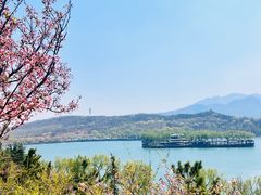 -樱花山风景区