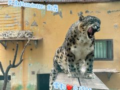-青藏高原野生动物园