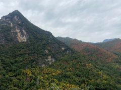 -牛背梁国家森林公园