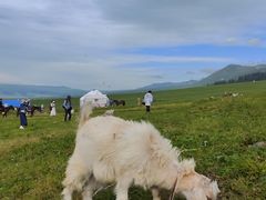 -新疆那拉提国家旅游度假区