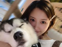 -Husky Go! 哈士奇体验馆·宠物咖啡厅狗咖