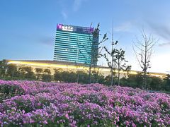 -春花秋色城市公园