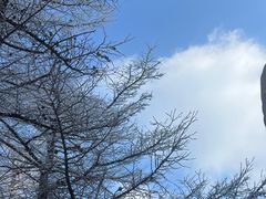 -崂山巨峰游览区