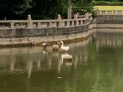-上海千禧海鸥大酒店