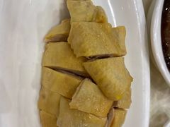 白斩鸡-顺风海鲜港(金玉兰店)