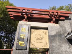 -莲花池公园