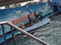 -秦皇岛新澳海底世界