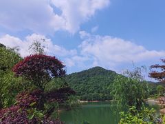 -桃花岭景区