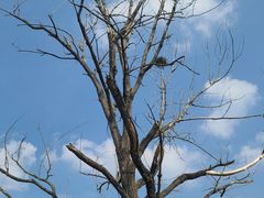 -雪山彩虹谷景区