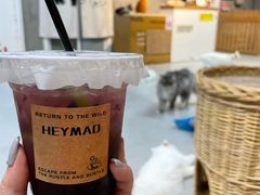 -Heymao猫咖.咖啡厅(东门店)