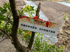 -大罗山风景区