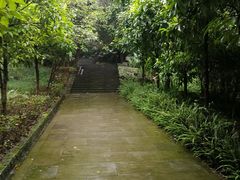 -铁山坪森林公园