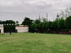 -洪湖家庭农场·团建·露营·会议