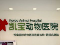 -悦宠凯宝动物医院·牙科·皮肤科(朝阳北路店)
