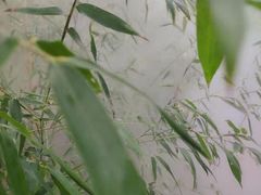 -竹泉村旅游度假区