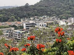 -佛山华盖山公园