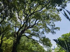 -岳麓山风景名胜区