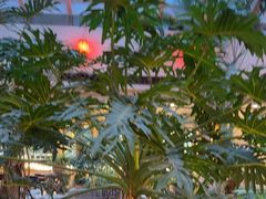 -顺峰·粤菜海鲜·早茶自助(阜成店)