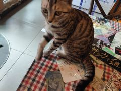 -鼓楼吃面·肉啃肉(南锣鼓巷店)