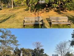 -香蜜公园