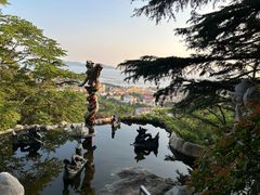 -信号山公园