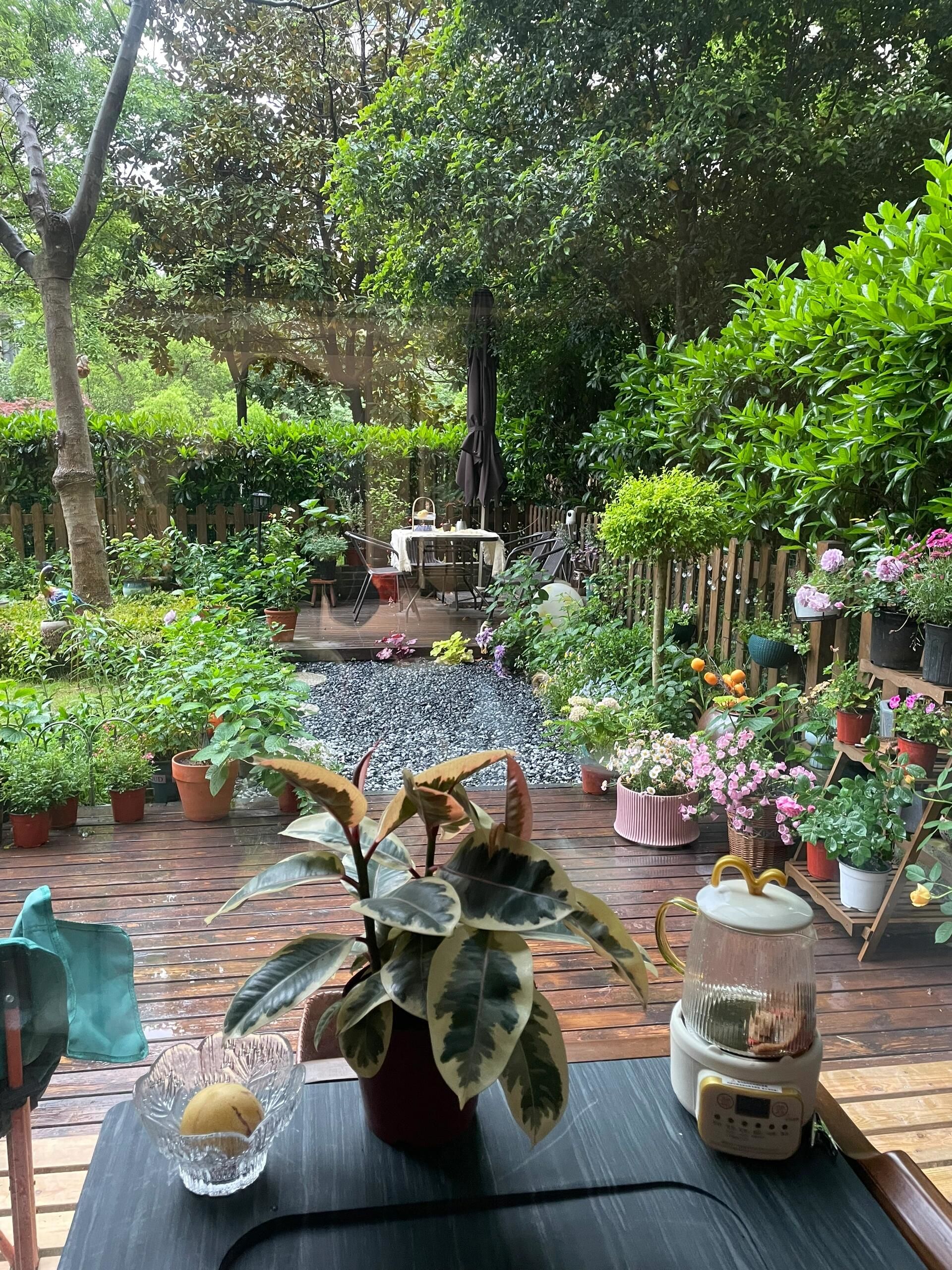 我的秘密花园院子