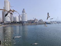 -星海广场