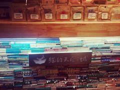 -猫的天空之城概念书店(西塘古镇店)