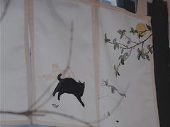 -猫里有甜