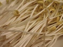 豆芽-海底捞火锅(高新万达店)