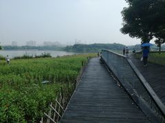 -海珠湖公园