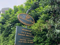 -Fern Forest Cafe